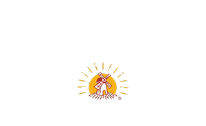 Real Pączki by Ideal Bakery